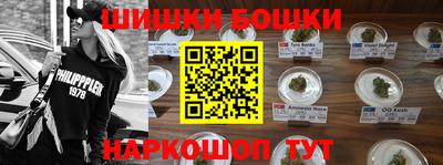 индика Будённовск