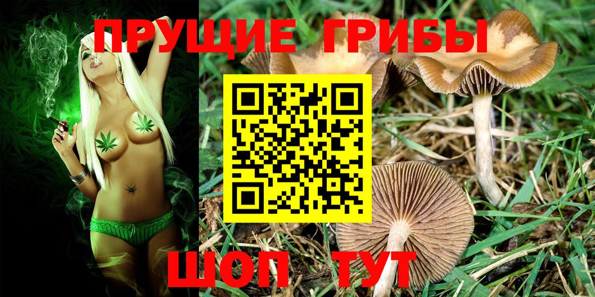 Галлюциногенные грибы мухоморы Химки
